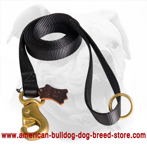  Nylon American Bulldog Lead