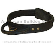 2 ply leather agitation dog collar with handle.