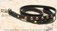 Studded leather dog lead for walking and tracking