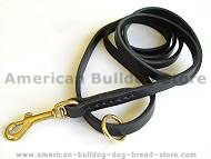 Handcrafted leather dog leash width 1/2 inch with solid brass Handcrafted leather dog leash width 1/2 inch with solid brass