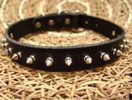 Leather spiked dog collar.