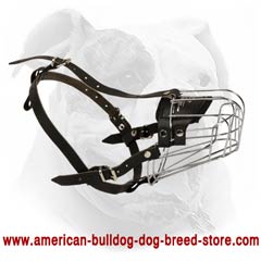 Easy training with American Bulldog wire basket muzzle