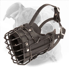 Wire Cage Muzzle for American Bulldog Agitation Training
