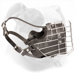 American Bulldog Wire Basket and Leather Muzzle