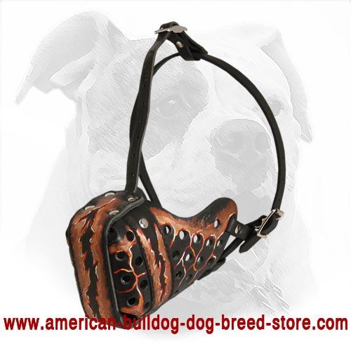 Training Leather American Bulldog Muzzle