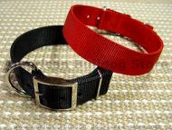 Nylon dog collar - 2 ply nylon : nickel plated : extra wide.