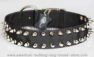 Black nylon spiked dog collar.