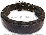 Padded leather dog collar with thick felt - C24