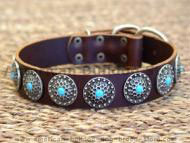 american-bulldog dog collar