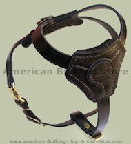 Small Leather Dog Harness for American Bulldog puppy
