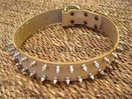 Leather spiked dog collar.