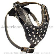 American Bulldog Studded Leather Dog Harness with Pyramids