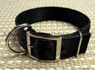 Great Nylon dog collar aprox. 2 icnh(40cm)