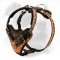 Topnotch Leather Harness with No Rubbing Chest Plate for Your American Bulldog