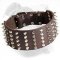 Spiked and Studded Leather Dog Collar for American Bulldog