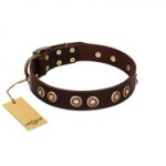 "Woofy Art" FDT Artisan Brown Leather American Bulldog Collar Adorned with Old Bronze-like Studs