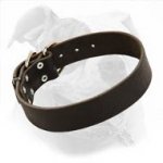 Best to Fit American Bulldog Leather Collar