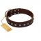 "Kingly Grace" FDT Artisan Brown Leather American Bulldog Collar with Silver-like Dotted Studs
