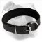 Super Soft and Gentle Leather Dog Collar Padded with Felt for Comfortable American Bulldog Training