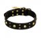 FDT Artisan 'Heavy Metal' Leather American Bulldog Collar with Skulls and Half-Balls 1 1/2 inch (40 mm)
