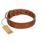 "Sweet Caramel" Designer FDT Artisan Tan Leather American Bulldog Collar
