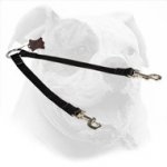 Walking Nylon Dog Coupler for American Bulldog