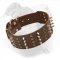 Extra Wide Leather American Bulldog Collar with Spikes and Studs