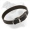 Light and Super Comfortable Leather Collar to Train or Walk Your American Bulldog