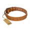 "Autumn Story" FDT Artisan Leather American Bulldog Collar with Old Bronze Look Studs