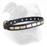 Leather American Bulldog Collar with Brass Plates for Daily Fashionable Walking
