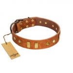 "Woofy Dawn" FDT Artisan Tan Leather American Bulldog Collar with Plates and Rhombs