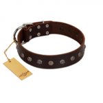 "Graceful Classic" Mod FDT Artisan Brown Leather American Bulldog Collar