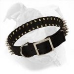 Any Weather Nylon Dog Collar for American Bulldog