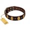 "Crystal Mirror" FDT Artisan Handmade Brown Leather American Bulldog Collar - 1 1/2 inch (40 mm) Wide