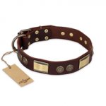 "Golden Stones" FDT Artisan Brown Leather American Bulldog Collar with Old Bronze Look Plates and Circles