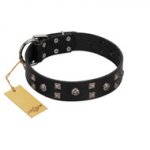 "Fire Eyes" Designer Handmade FDT Artisan Black Leather American Bulldog Collar