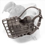 Winter Wire Cage Dog Muzzle with Leather Lined Interior