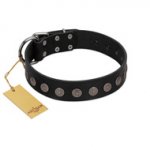 "Silent Star" Handmade FDT Artisan Designer Black Leather American Bulldog Collar with Engraved Plates