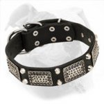 Leather American Bulldog Collar Decorated with Large Plates