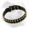 "Unveiled Luxury" Spiked Leather Dog Collar for American Bulldog