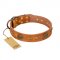 "Sun Beams" FDT Artisan Tan Leather American Bulldog Collar with Decorations