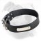 Identification Leather American Bulldog Collar for Walking and Training