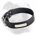 Identification Leather American Bulldog Collar for Walking and Training