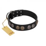 "Mister Exclusive" Designer FDT Artisan Black Leather American Bulldog Collar with Medallions