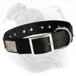 Easy in Use Nylon Dog Collar Multitasking - Best Decision for Active American Bulldog