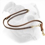 American Bulldog Leather Leash for Training / Walking / Tracking.