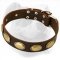 Retro Rulz - Gorgeous Vintage Dog Leather Collar for Americn Bulldog
