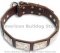 Exquisite American Bulldog Collar Decorated with Silver Color Plates