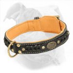 Adjustable American Bulldog Collar Made of Leather