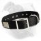 Easy in Use Nylon Dog Collar Multitasking - Best Decision for Active American Bulldog